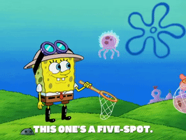season 7 GIF by SpongeBob SquarePants