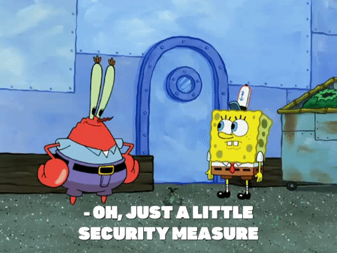 security measures meaning, definitions, synonyms