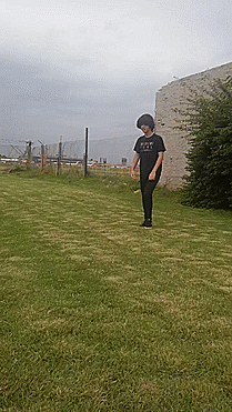 Schmidt  GIF