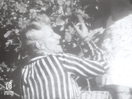 CinemathequeDeBretagne  GIF