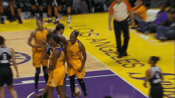 excited la sparks GIF by WNBA