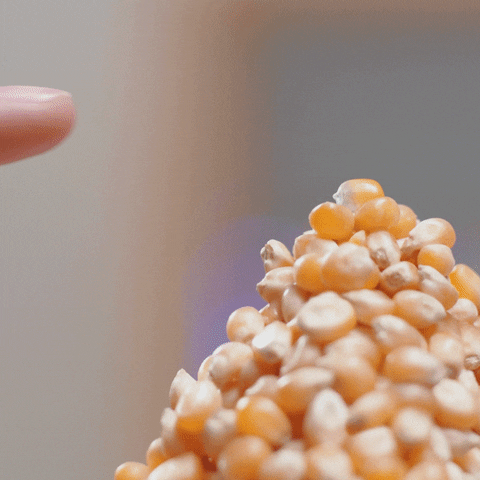 magic popping GIF by Metcalfe's Skinny Popcorn