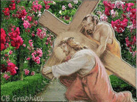 chrisbaltos  GIF