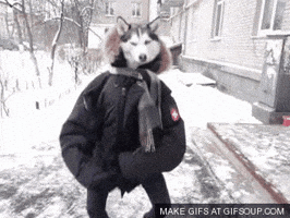shangyunwu  GIF