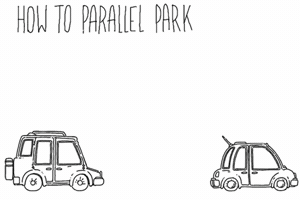 bufotenina car parking GIF