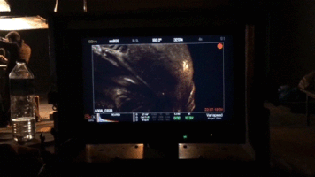 onursenturk creature_02 GIF