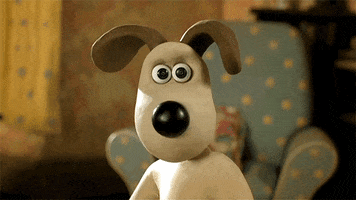 Stop motion gif. Gromit from Wallace and Gromit raises an eyebrow at something off screen and then looks at us earnestly, shaking his head. 