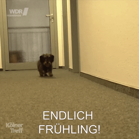 Happy Spring GIF by Koelner_Treff