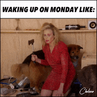 Meme Monday GIF by Chelsea Handler