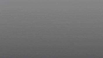 uglyfilm dogs ugly simulation ragdoll GIF