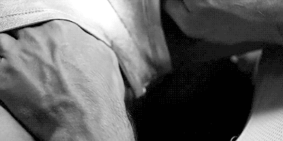 sly  GIF