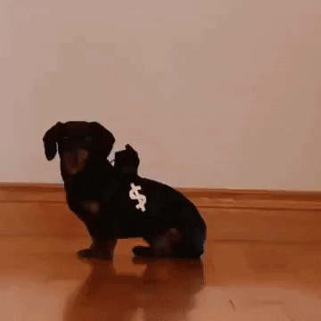 Cute Cops And Robbers GIF - Find & Share on GIPHY