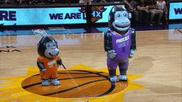 Phoenix Suns Dancing GIF by NBA