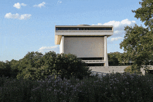 presidential library austin GIF by lbjlibrary