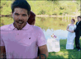 wittyfeedcom  GIF