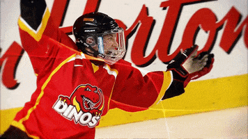 women's hockey dinos GIF by University of Calgary