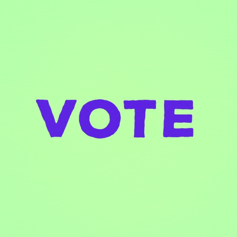feibim typography election voting type GIF