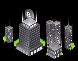 Bitcoin Crypto GIF by Shift Markets