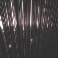 200.gif?cid=fc005b084d862b3e39fa6cb4727a7d0b28899a1976db739c&rid=200.gif&ct=g