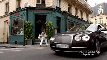car driving GIF by Petrossian