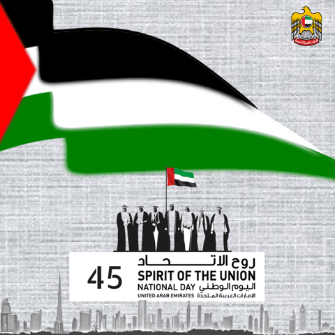 drifter flag uae nationalday 45th GIF
