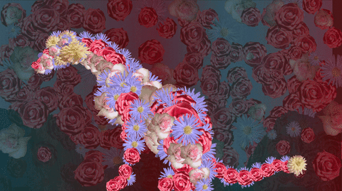 paoladlp animated GIF