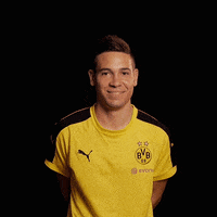 Borussia Dortmund Smile GIF