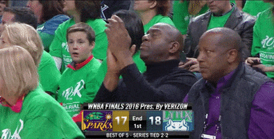 game 5 clapping GIF by WNBA