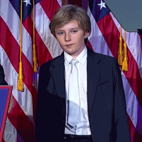 alexandrelegault-dery trump election2016 GIF