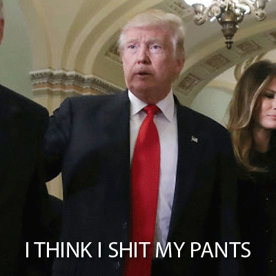 ramboozle trump election2016 dumptrump 3musketeers GIF