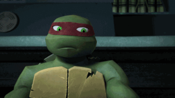 GIF by Teenage Mutant Ninja Turtles