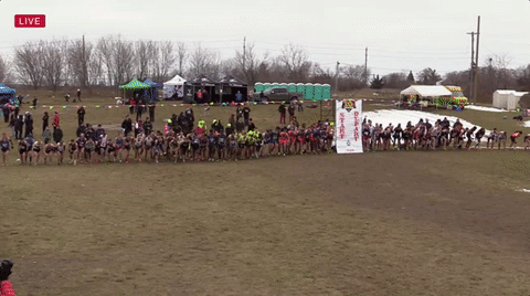 Usa Running Gif By Runnerspace Com Find Share On Giphy