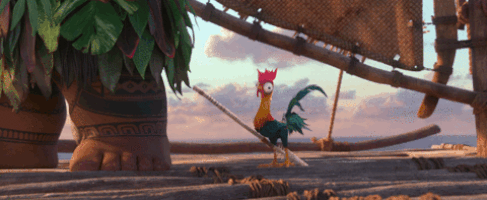 Gif By Moana Find Share On Giphy