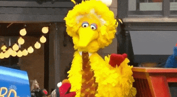 Sesame Street gif. Big Bird looks up at us and nods as Elmo looks up  and dances in front of him on the Macy’s Thanksgiving Day Parade float. 
