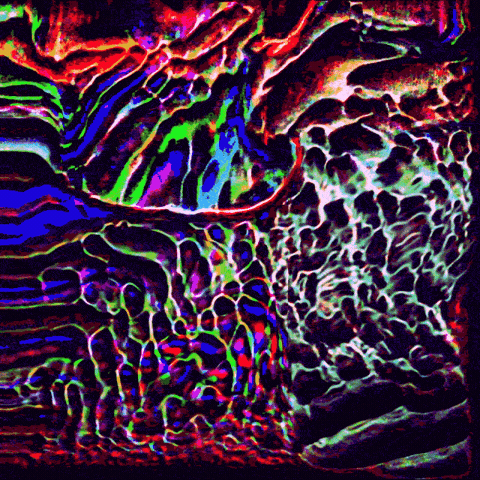 boopydummy  GIF