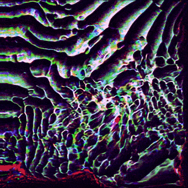 boopydummy  GIF