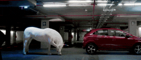 balzasj  GIF