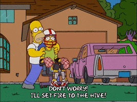 200.gif?cid=fc005b084cb0f54719f8766a06ebfa75793e8c58325f7708&rid=200.gif&ct=g