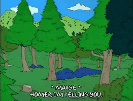 Season 1 Rv GIF by The Simpsons
