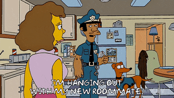 200.gif?cid=fc005b089bcba4a5400948d1245c52f45a84387dbfc60475&rid=200.gif&ct=g