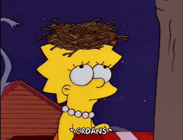 200.gif?cid=fc005b084d0d2e3e24777186a73ae28a87269eba43fd1abe&rid=200.gif&ct=g