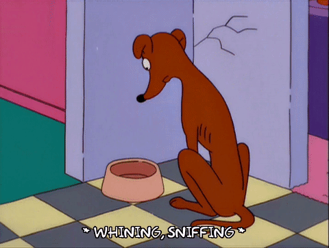 Featured image of post Hungry Dog Gif Animated