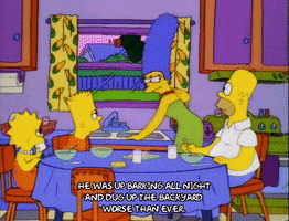 200.gif?cid=fc005b08aec797bebc6513f068a53a204aedb810b71c7db1&rid=200.gif&ct=g