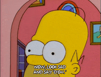 Homer Simpson Doh Gif Find Share On Giphy Homer Simpson Doh Gif Find Share On Giphy