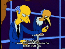 Season 4 Bird GIF by The Simpsons