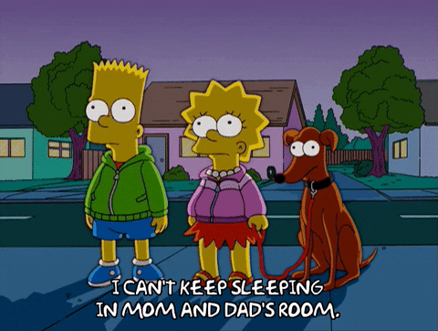 Bart Simpson Dog GIF - Find & Share on GIPHY