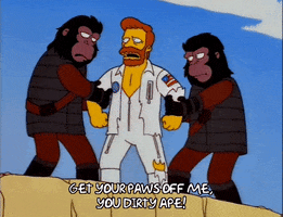 season 7 apes GIF