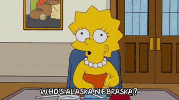 Confused Lisa Simpson GIF by The Simpsons
