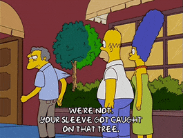 200.gif?cid=fc005b0856c150ec0749f3ca998e54976b4433f345ebe593&rid=200.gif&ct=g