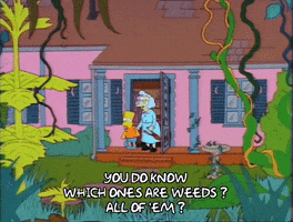 Season 2 Episode 21 GIF by The Simpsons